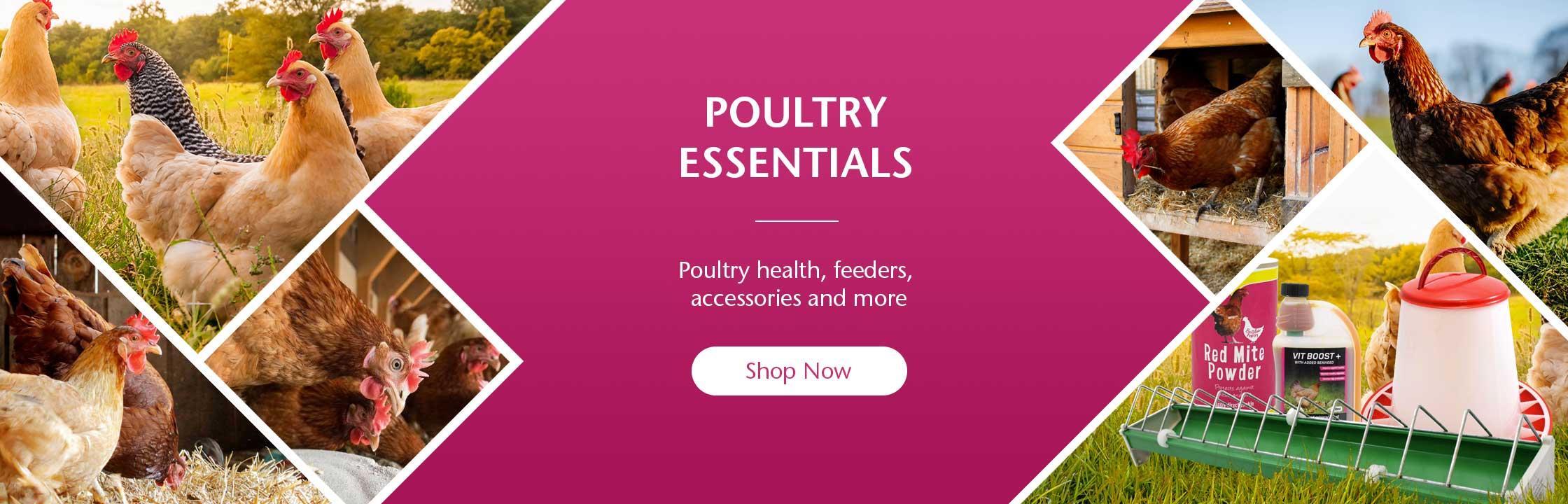 Poultry Essentials