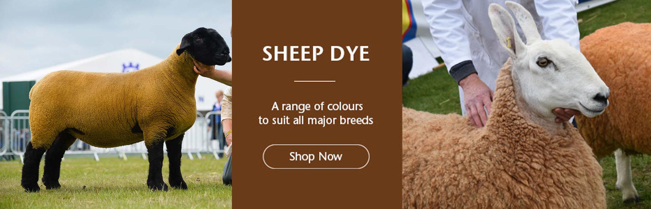 Sheep Dye