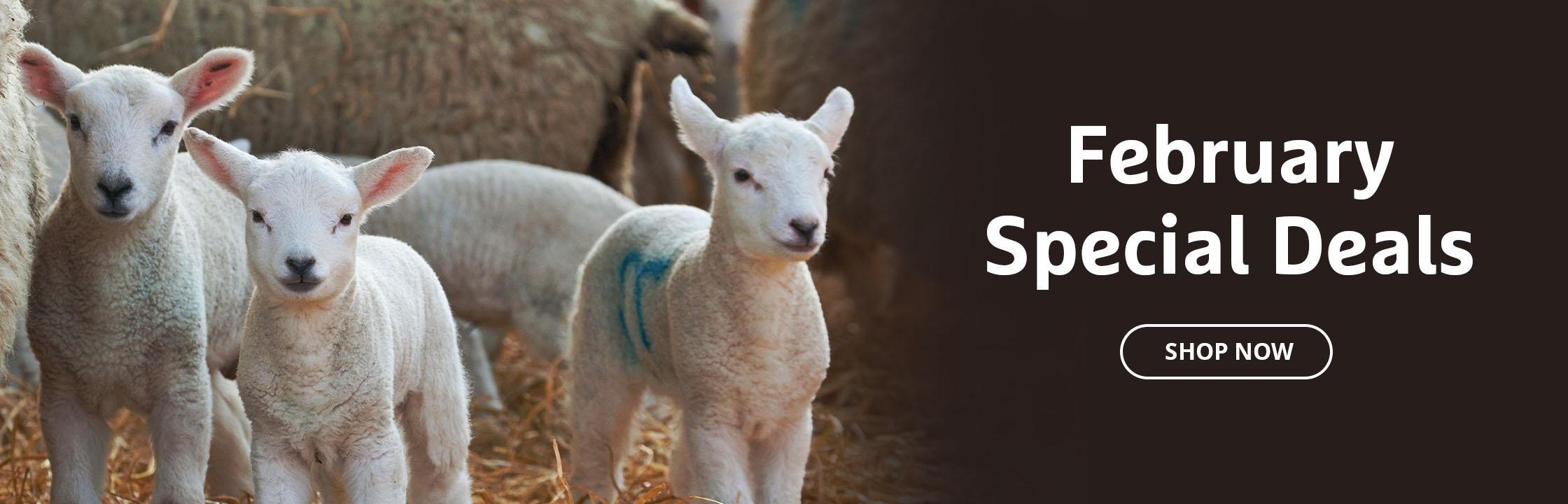 Feb 26 Monthly Offers