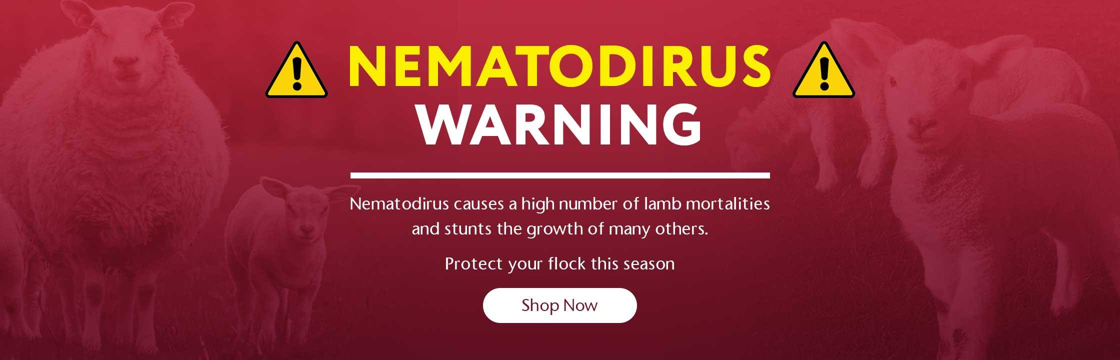 Nemotodirus Warning