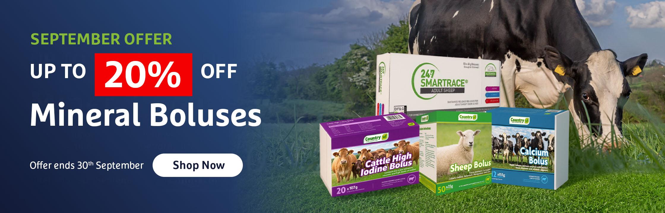 Up to 20% OFF Selected Boluses