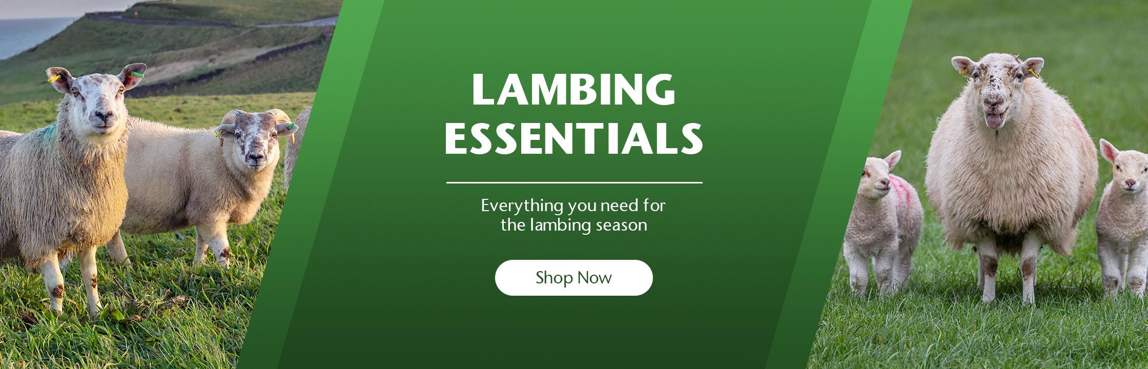Lambing Essentials