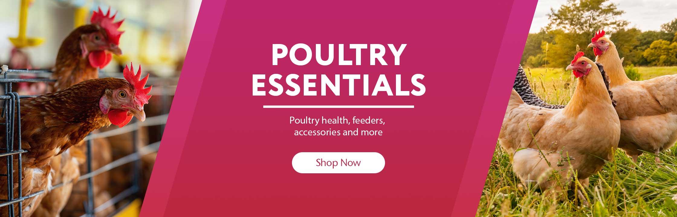 Poultry Essentials