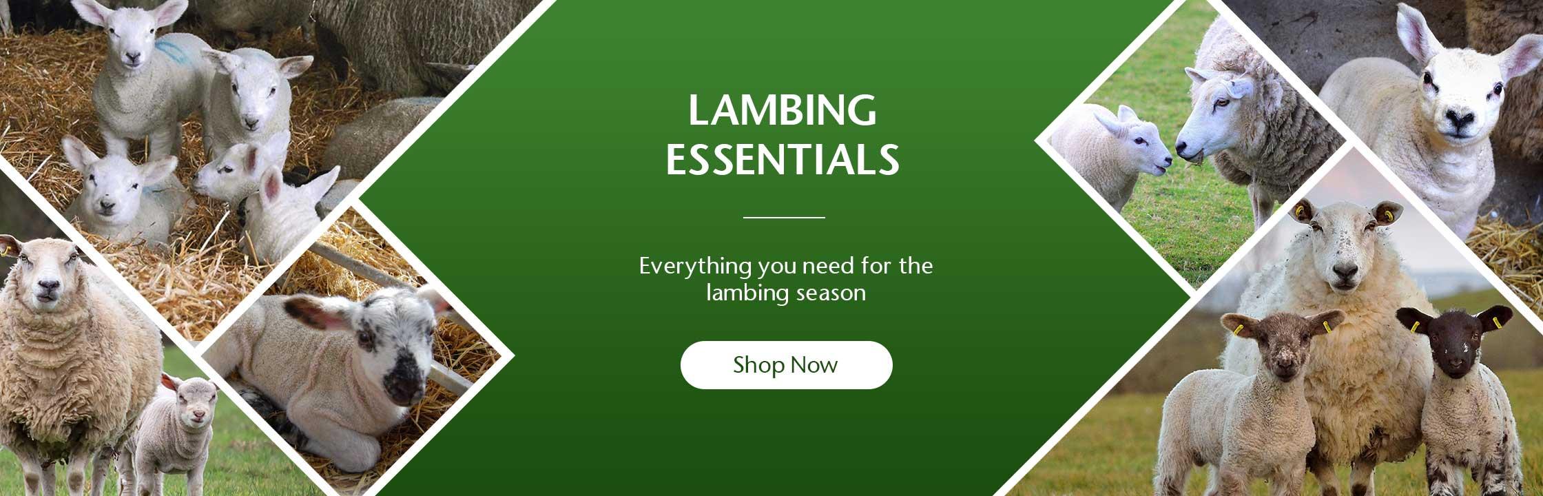 Lambing Essentials