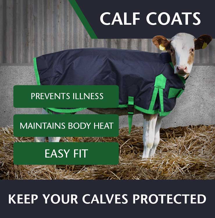 Fane Valley Calf Coats image