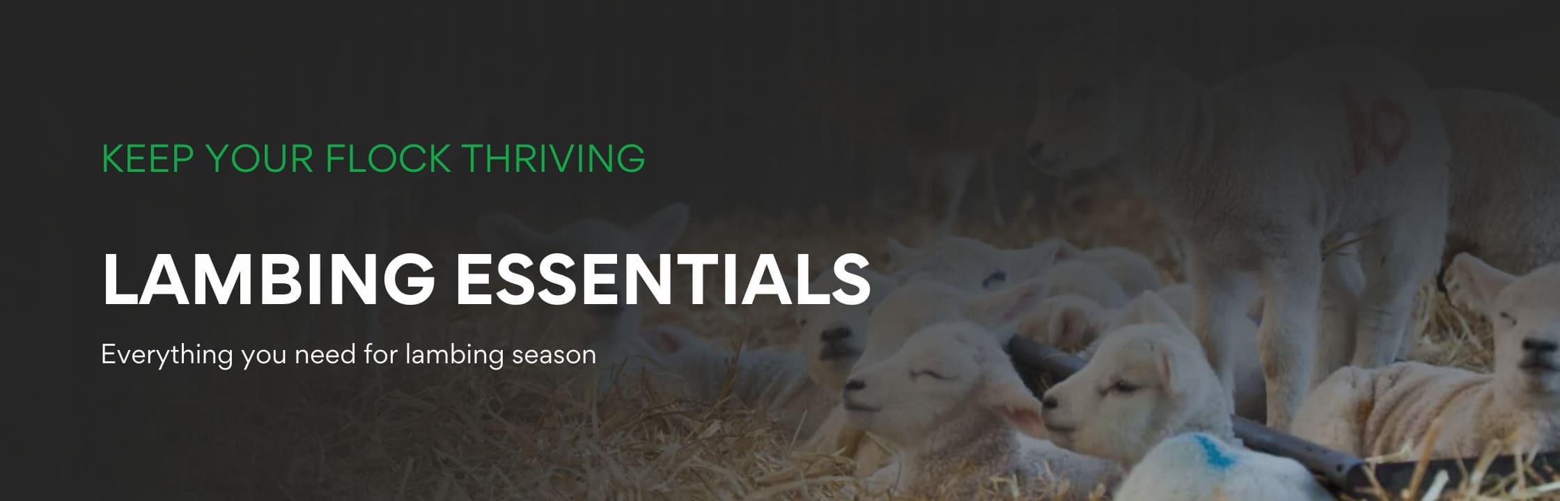 Lambing Essentials