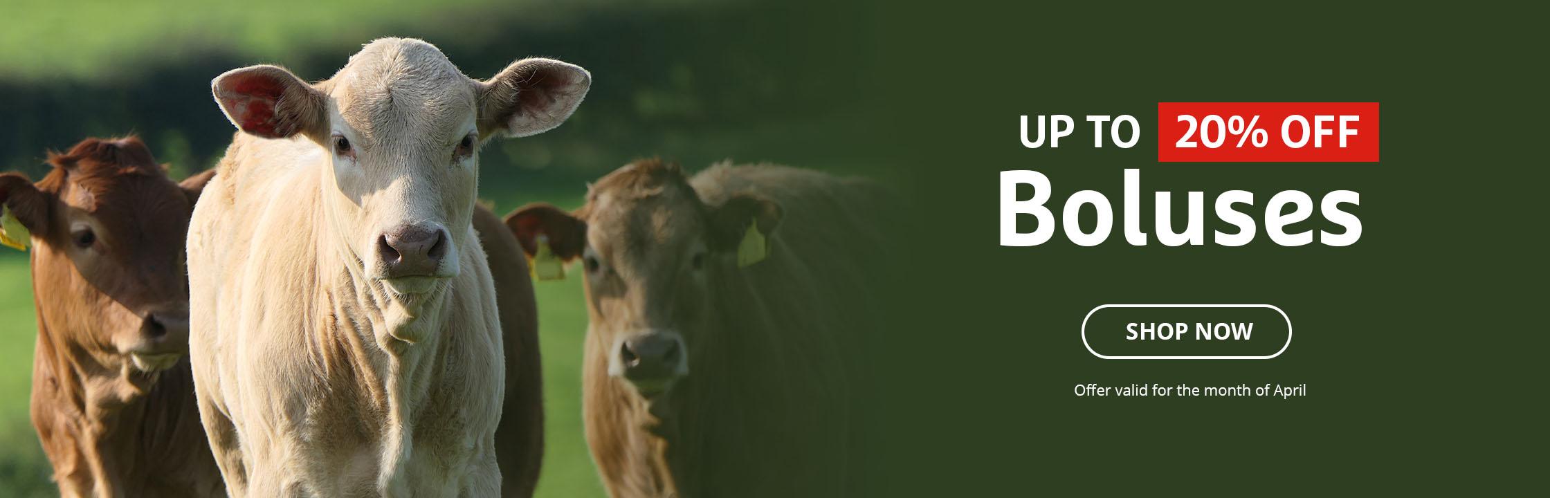 Up to 20% OFF Selected Boluses