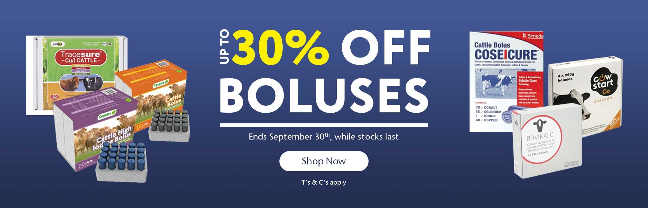 Up to 30% OFF Bolus Offer