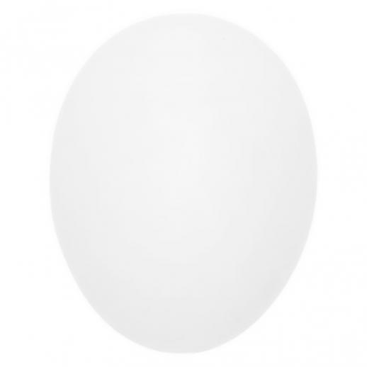  Plastic Nest Egg