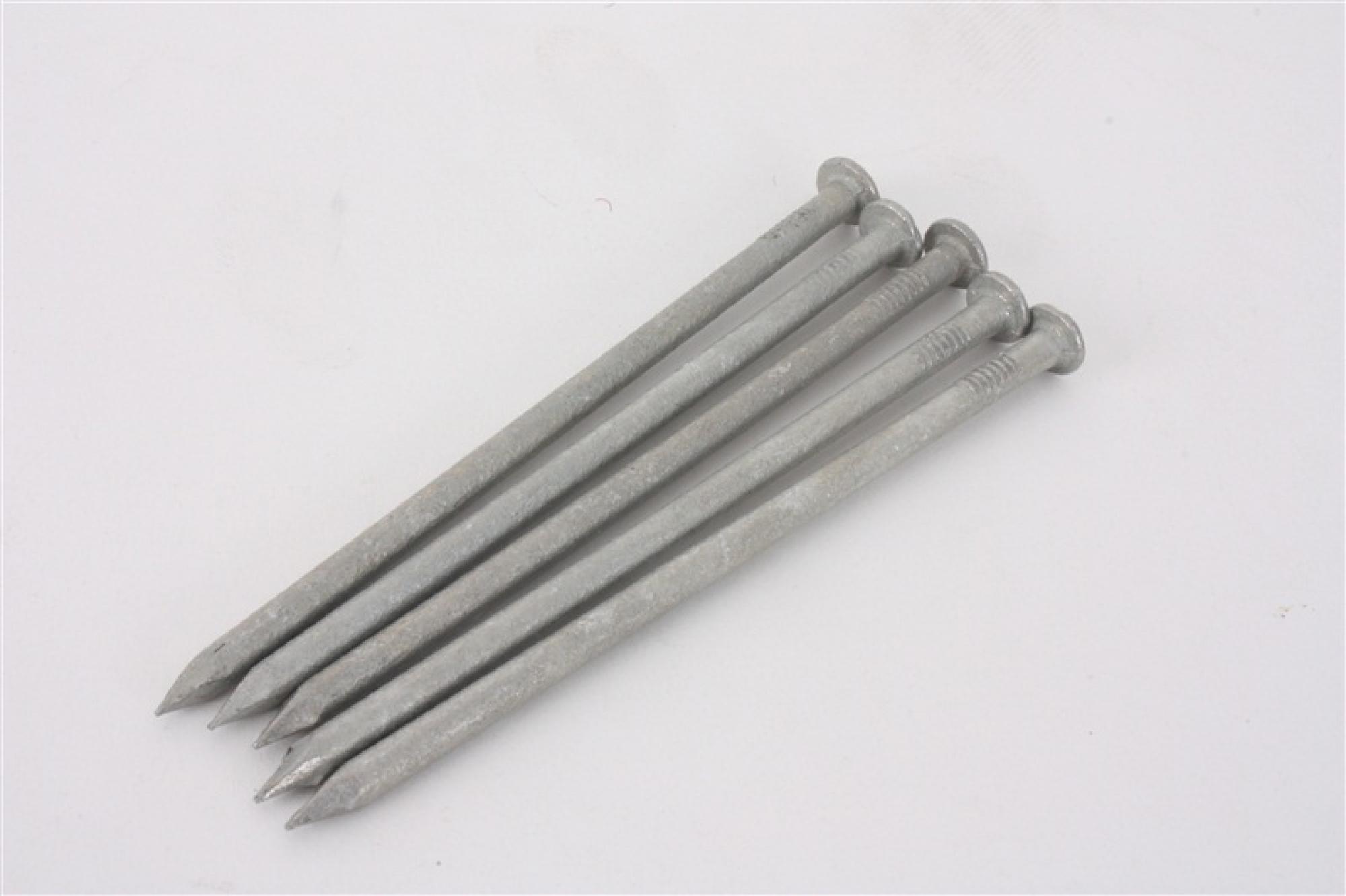 Buy Galvanised Nails 4'' 1Kg 6110051 from Fane Valley Stores