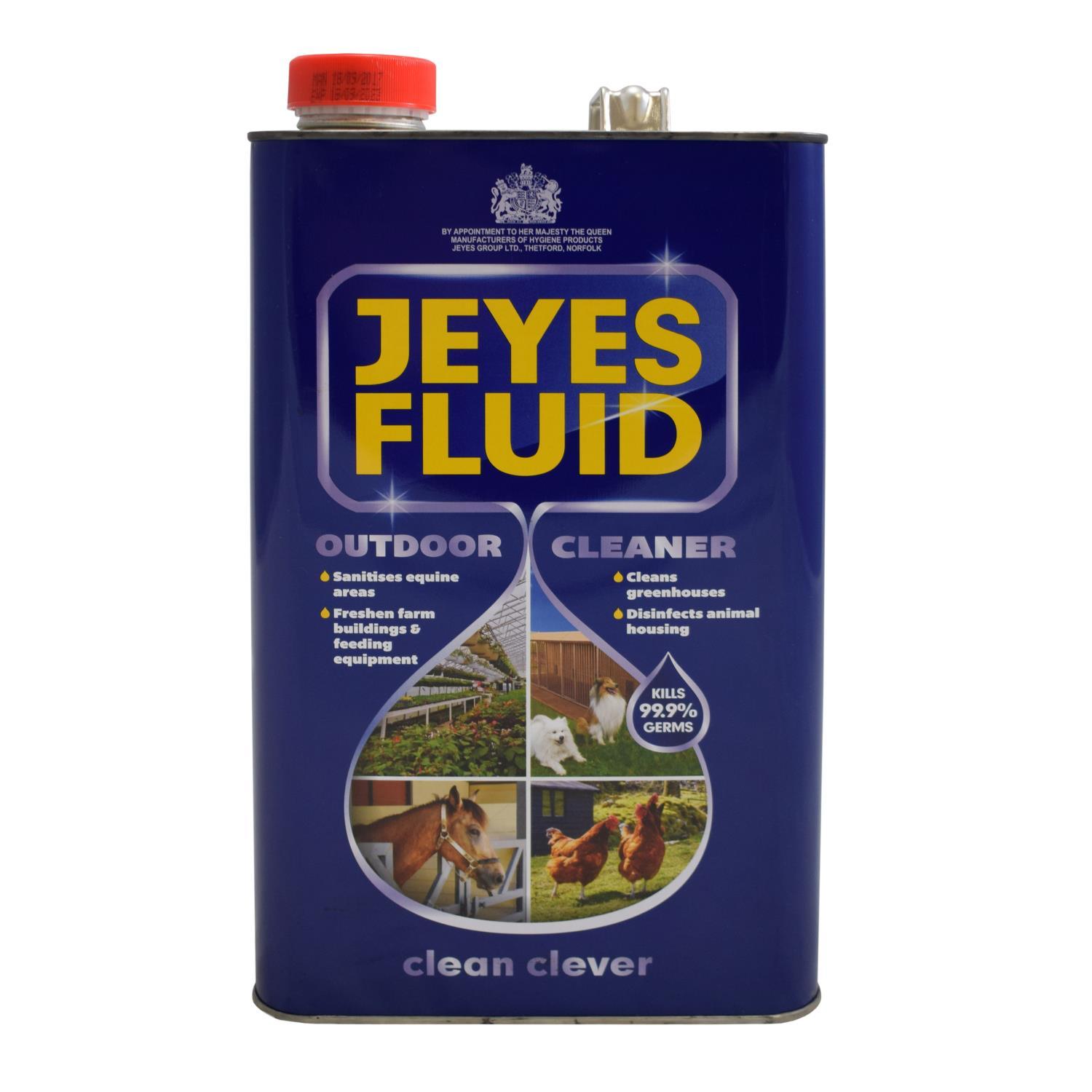 Buy Jeyes Fluid Strong Disinfectant 5L from Fane Valley Stores