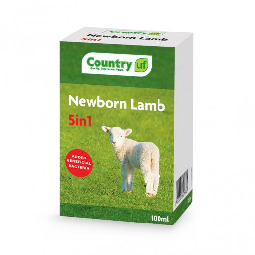  Country Newborn Lamb 5 in 1 