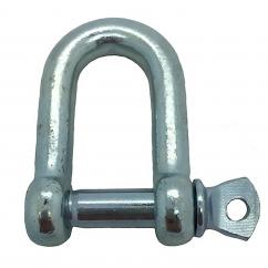 Dee Shackle  image