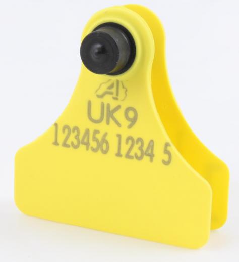  Allflex Junior Replacement Tag 