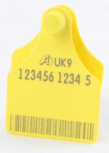  Allflex Senior Replacement Tag -Barcoded