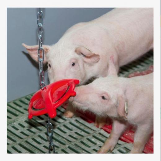  Piglet Teething Ring with 75cm Hanging Chain