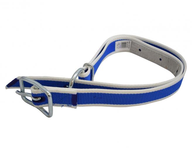  A/H Blue Cow Collar 1.3M 77040