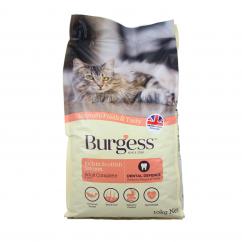 Burgess Scottish Salmon Dry Cat Food  image