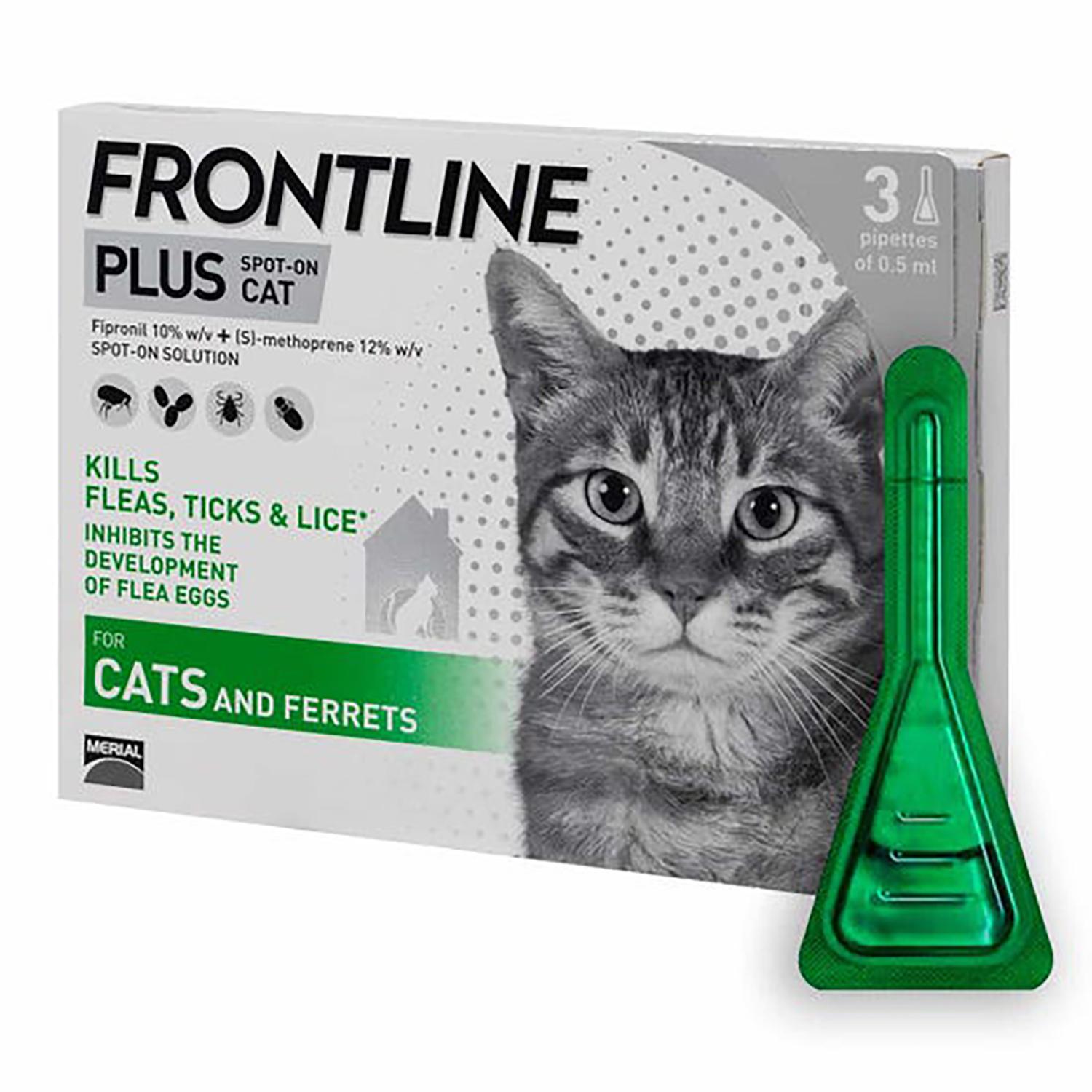 Buy Frontline Plus Spot On Cat Pack of 3 from Fane Valley Stores
