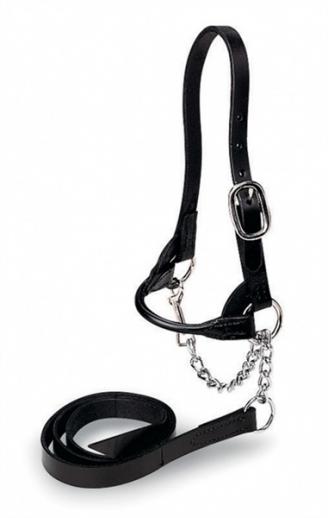  Showtime Leather Sheep Halter and Lead in Black 