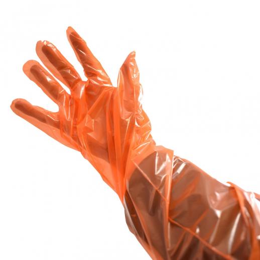  Cox Disposable Examination Gloves 