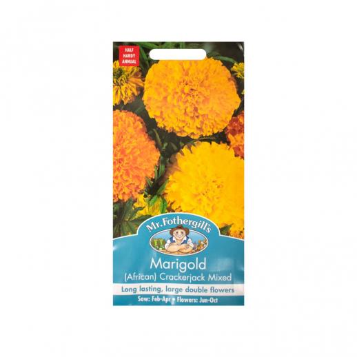  Marigiold African Crackerjack Mixed
