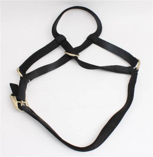  Showtime Nylon Web Leave On Halter 