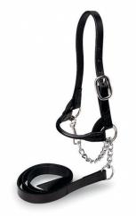 Showtime Leather Sheep Halter and Lead in Black  image