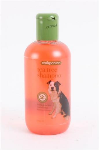  Companion Tea Tree Shampoo 
