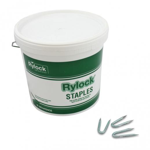  Rylock Green Staples