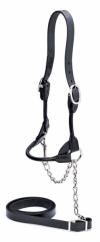 Showtime Sullivan's Classic Leather Rolled Show Halter in Black  image