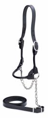 Showtime Nasco's Round Leather Strap Show Halter in Black  image