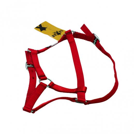  Saxon Economy Headcollar Red 