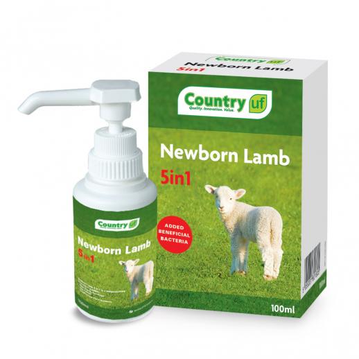  Country Newborn Lamb 5 in 1 
