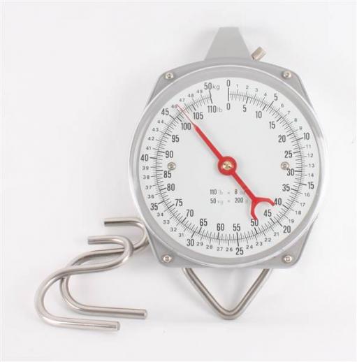  Weighing Scales 50kg 