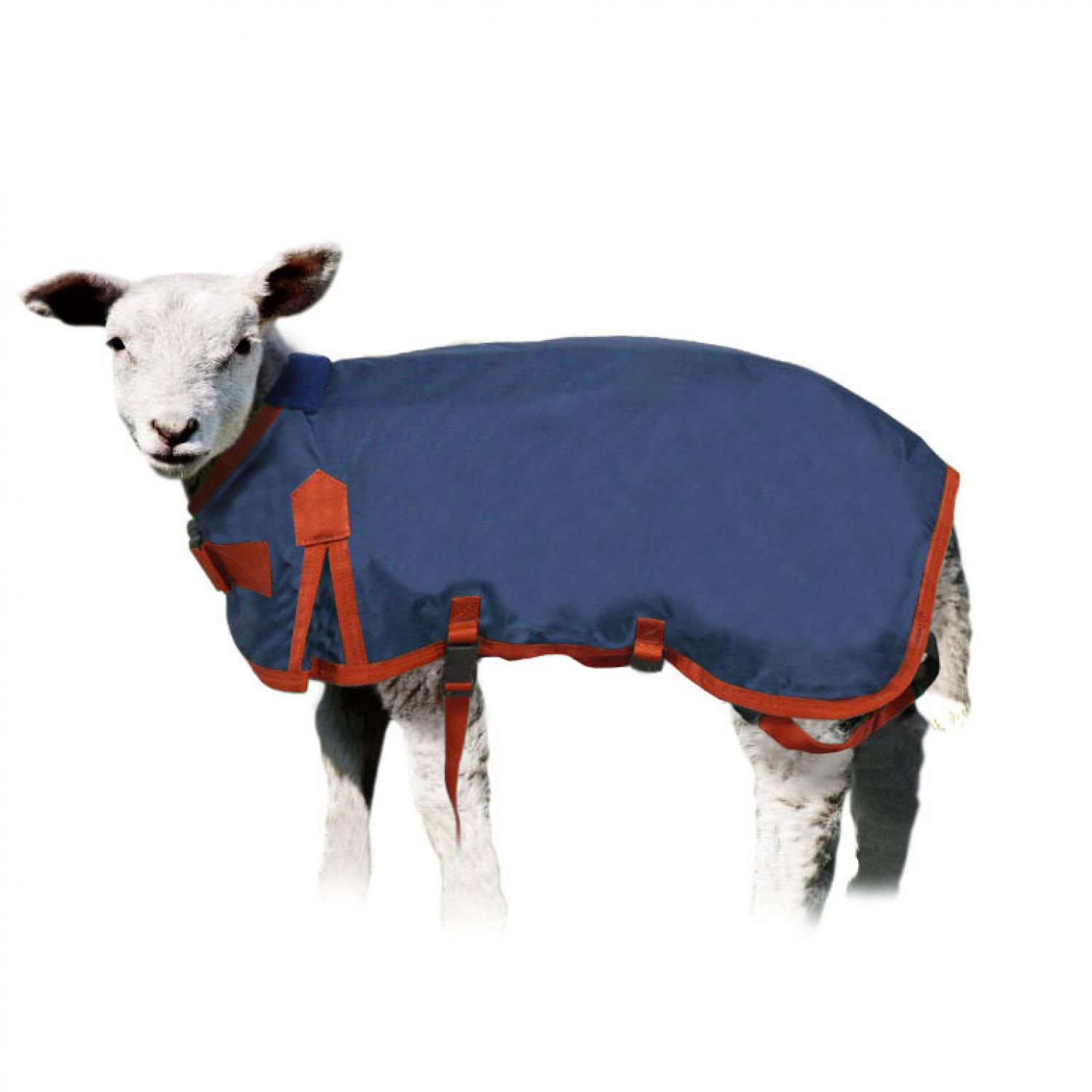 Buy Boviwear Quilted Lamb Coat from Fane Valley Stores