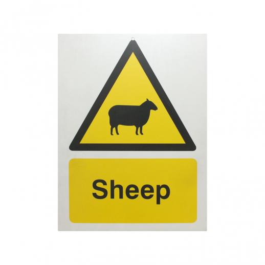  Sheep CW09