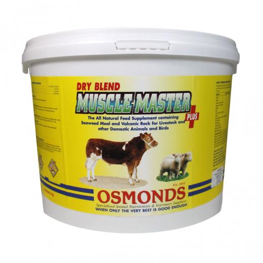  Osmonds Muscle Master Dry Blend Plus 