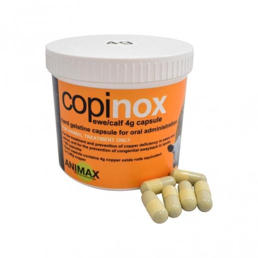  Animax Copinox Copper / Coprac 4g Capsule Bolus Ewe / Calf