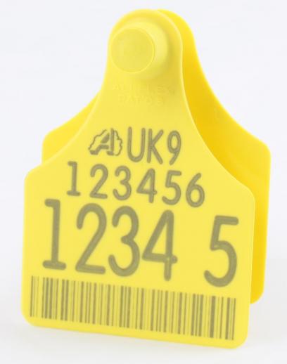  Allflex Senior Replacement Tag 