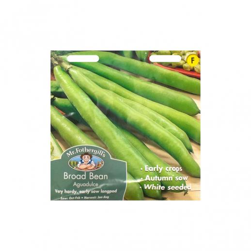  Broad Bean Aguadulce
