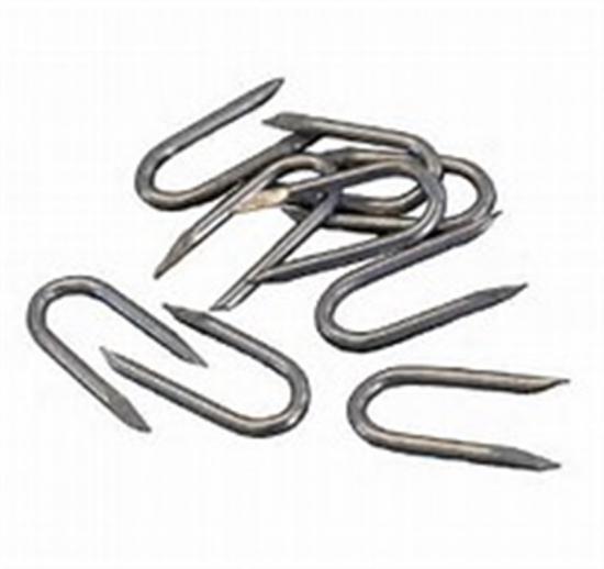  Galvanised Staples 40mm x 5Kg