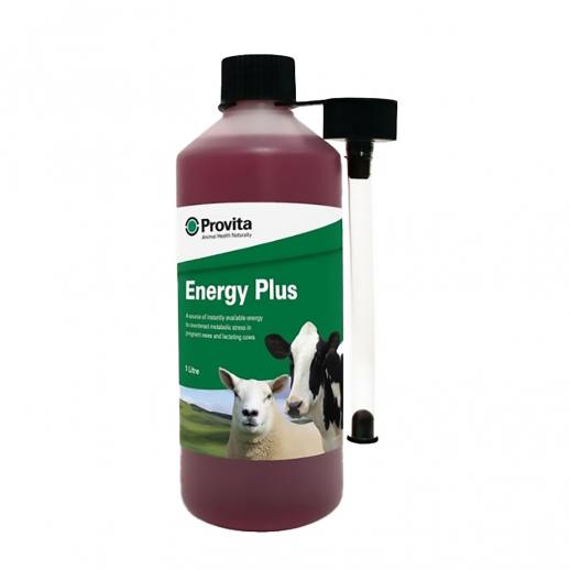  Provita Energy Plus 