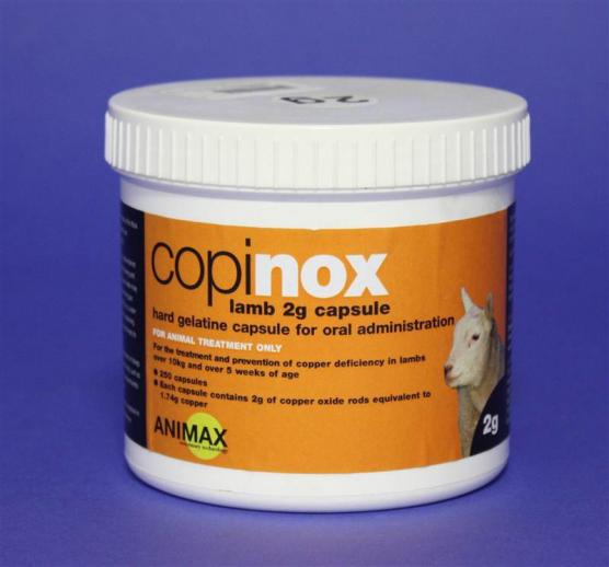  Animax Copinox Copper Capsules for Lamb 