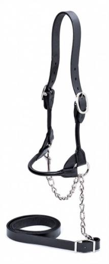  Showtime Nasco's Round Leather Strap Show Halter in Black 