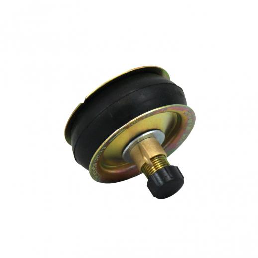  Drain Test Plug 4"