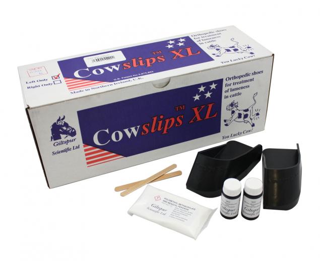  Cowslips XL L/H