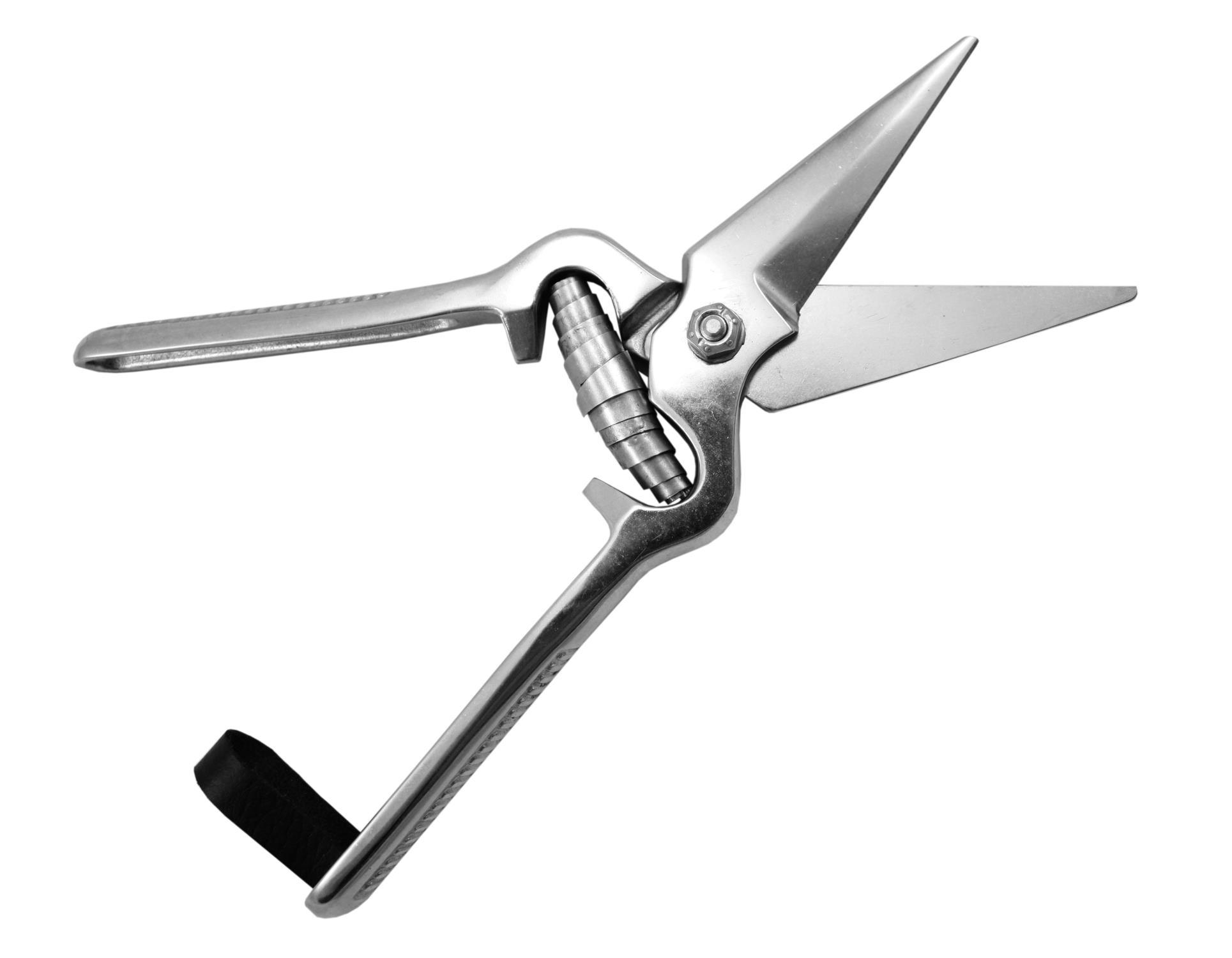 Buy Footrot Shears with Long Thin Blades from Fane Valley Stores