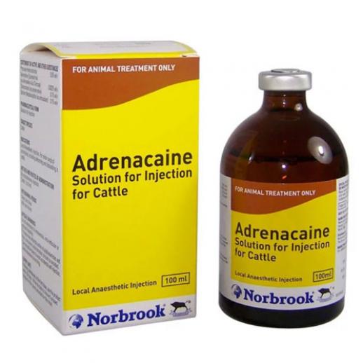  Adrenacaine Injection  