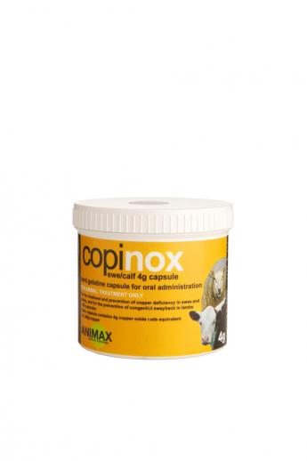  Animax Copinox Copper / Coprac 4g Capsule Bolus Ewe / Calf